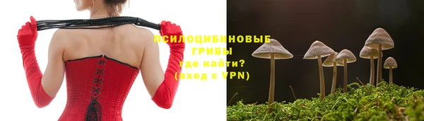 мяу мяу кристалл Михайлов