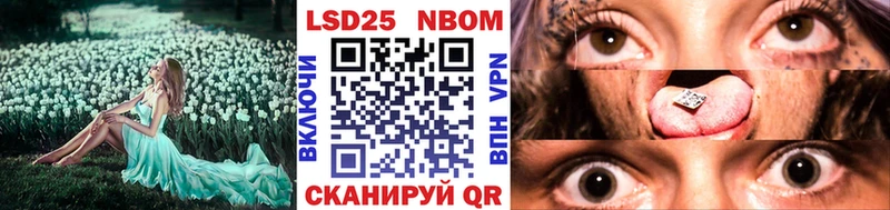 blacksprut ССЫЛКА  хочу   Сураж  Марки N-bome 1,8мг 