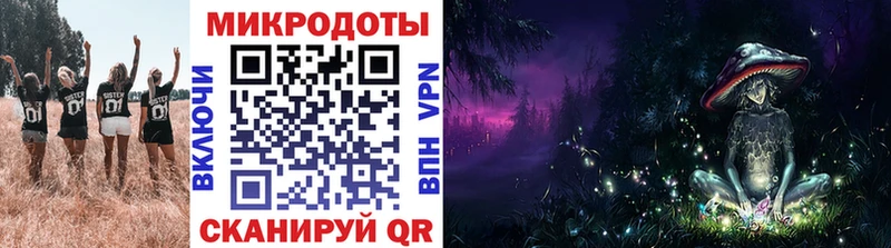 где найти наркотики  Сураж  mega   Псилоцибиновые грибы Psilocybe 